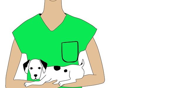 Die Leistungen der Hundekrankenversicherungen Die Leistungen der Hundekrankenversicherungen